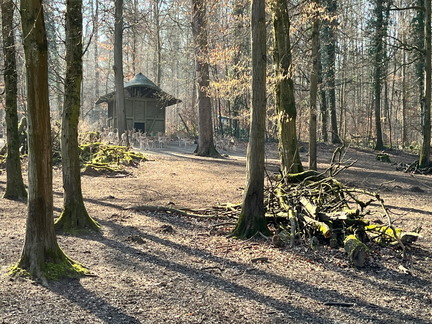 23-02-13 14-20-39 4218